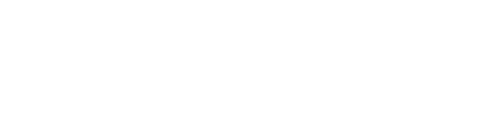 Guard Force Security Limited